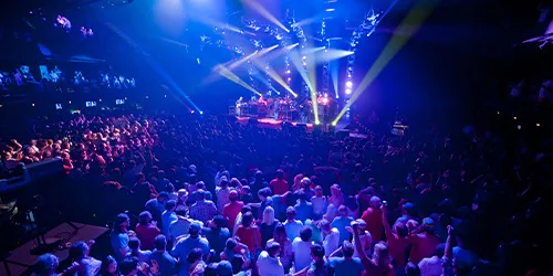 Disko Projesi 2